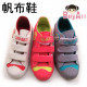 【New children's shoes, boots, canvas shoes, banquet shoes, all kinds of shoes series】 Super handsome star stripes fight color non-slip canvas shoes / men and women in children's shoes for foot length 14-17