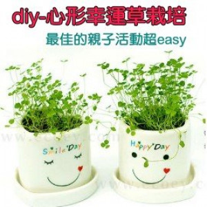 Diy植栽