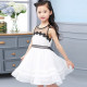 [Banquet, wedding banquet. Graduation ceremony. Performance, birthday activities, the best little princess dress style] - summer design section of the official leisure two affordable Princess dress dress / dress / flower girl clothing 100-160